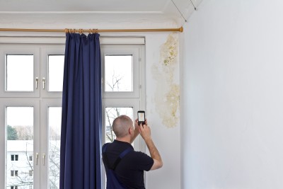 Mann macht Foto von Schimmel mit Handy